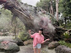 -奥兰多迪士尼动物王国乐园