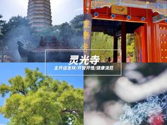 -八大处公园