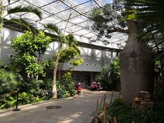 -北京植物园-展览温室