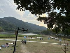 -风云岭森林公园