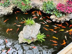 -白天鹅宾馆-玉堂春暖餐厅