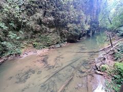 -怀托摩萤火虫洞