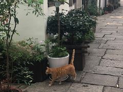 -小河直街历史文化街区