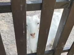 -南京枫彩漫城