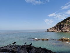 -摩天岭风景区