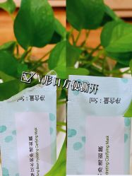 -谷雨官方旗舰店