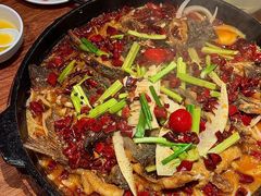 -老板恋上鱼(恒隆广场店)