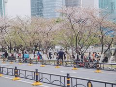 -西北湖绿化广场