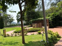 -香港大学
