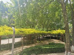-西安市长乐公园