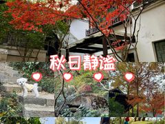 -中国茶叶博物馆(双峰馆区)