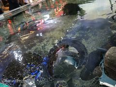 -鸿通城购物中心