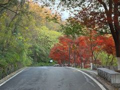 -方山风景区定林寺