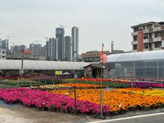 -顺德一品粥·20年凤城老字号(芳村店)