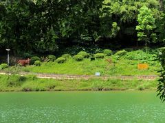 -铁山坪森林公园