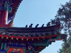 -洛阳白马寺