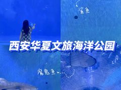 -华夏文旅海洋公园