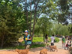 -辛玛王国游乐园