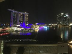 -新加坡文华东方酒店