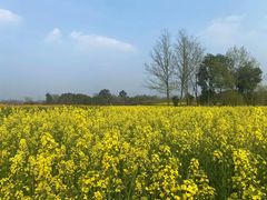 -中国天府农业博览园