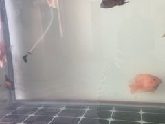 -国贸中心·国贸大厦三期