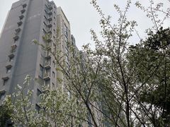 -苏州市相城人民医院