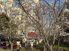 景点-徐家汇源景区-衡山公园