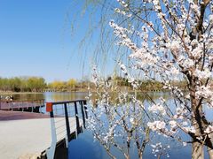 -东郊湿地公园