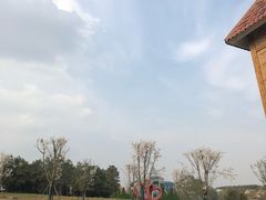 -大塘金香草谷