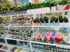 -KKV(常州新北万达广场店)