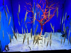 -多彩贵州城极地海洋世界