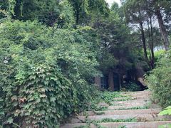 -燕塞湖鸟语林景区