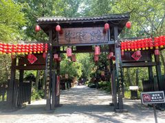 -合肥滨湖国家森林公园