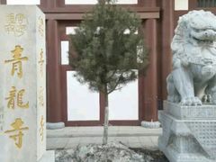 -西安青龙寺遗址景区