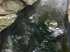 -青青世界