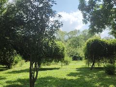 -东莞植物园