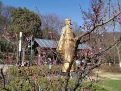 -南京老山国家森林公园