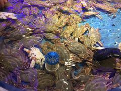 -澜悦港海鲜体验主题餐厅