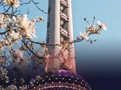 -东方明珠广播电视塔