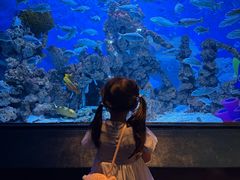 -海合安成都极地海洋公园