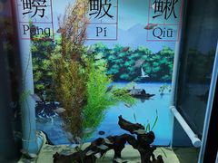 -欢乐海岸海洋奇梦馆