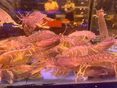 -四海之家(蛇口店)