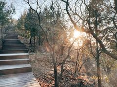 -北京十三陵国家森林公园蟒山景区