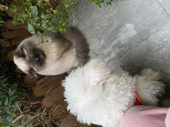 -叁渡咖啡馆(新天地店)