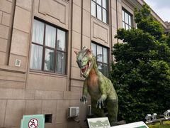 -国家自然博物馆