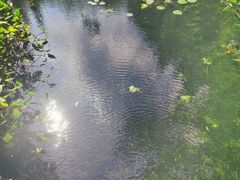 -尚贤河湿地