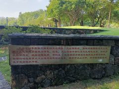 -王借岗森林公园