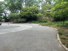 -紫金山山顶公园