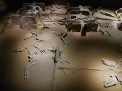 -洛阳周王城天子驾六博物馆