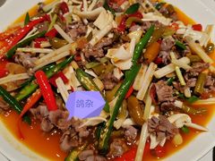 黄喉鸽杂-琬苑鸽庄·川粤融合菜(解放碑总店)